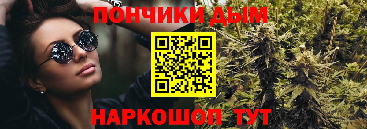 Свободный  Конопля SATIVA & INDICA  Каннабис семена  Конопля OG Kush  МАРИХУАНА планчик  Вход с VPN 